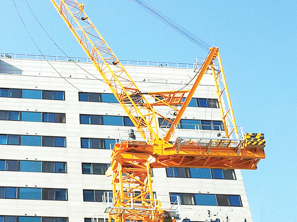 CTL 125 (D5020)  动臂式塔式米兰体育(中国) 10t